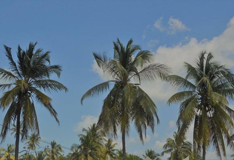 צימר Zanzibar Dream Lodge