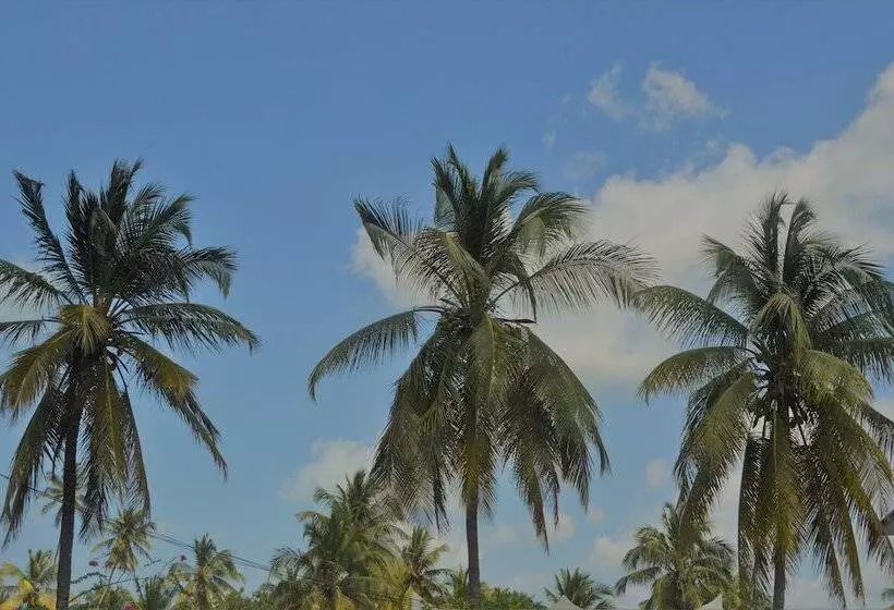 Aamiaismajoitus (B&B) Zanzibar Dream Lodge