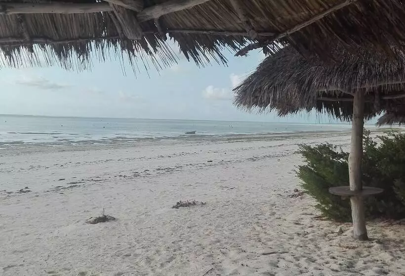 Aamiaismajoitus (B&B) Zanzibar Dream Lodge