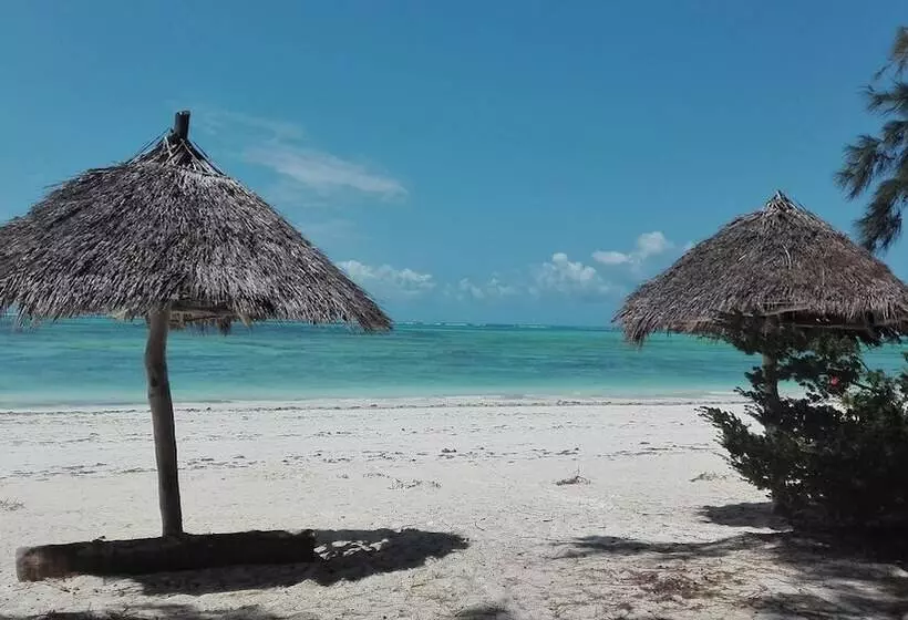 Aamiaismajoitus (B&B) Zanzibar Dream Lodge
