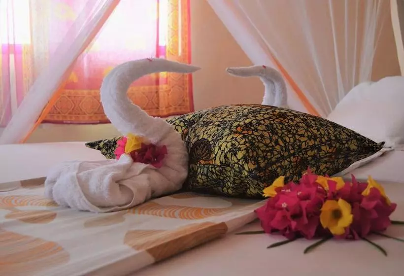 Aamiaismajoitus (B&B) Zanzibar Dream Lodge