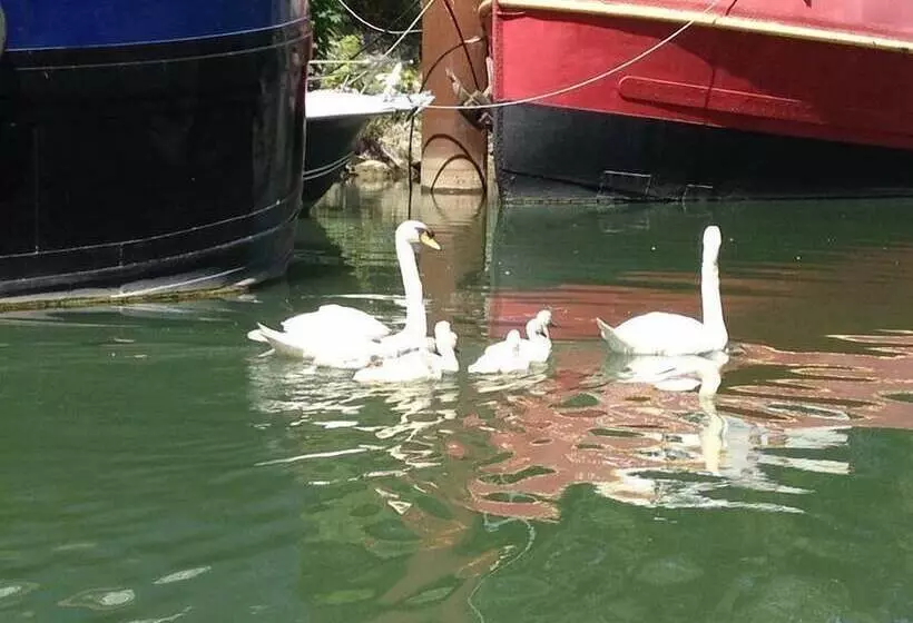 هتل Boat For Guest