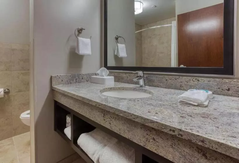 ホテル Drury Inn & Suites Huntsville Space & Rocket Center