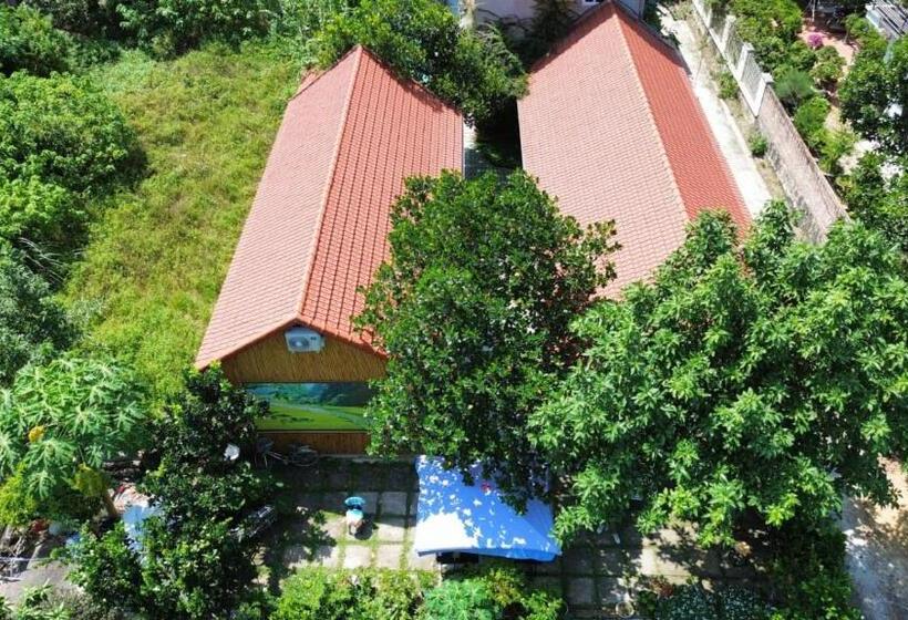 هتل Tam Coc Viet Ha Homestay