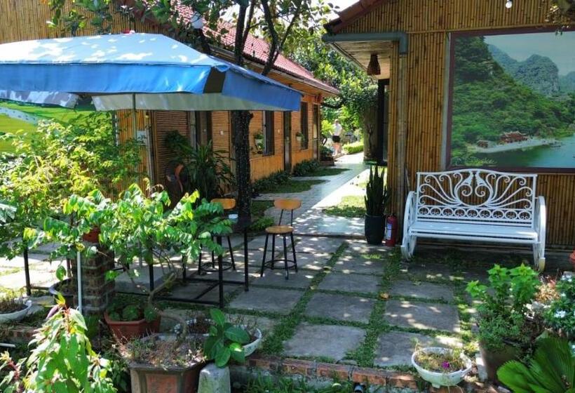 هتل Tam Coc Viet Ha Homestay