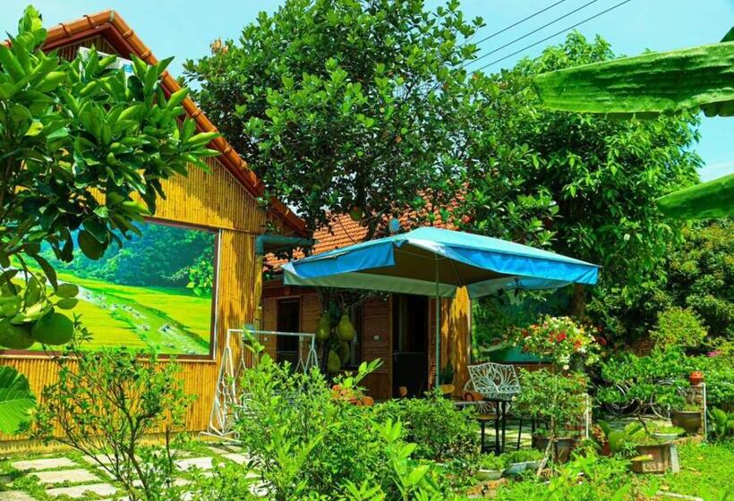 هتل Tam Coc Viet Ha Homestay
