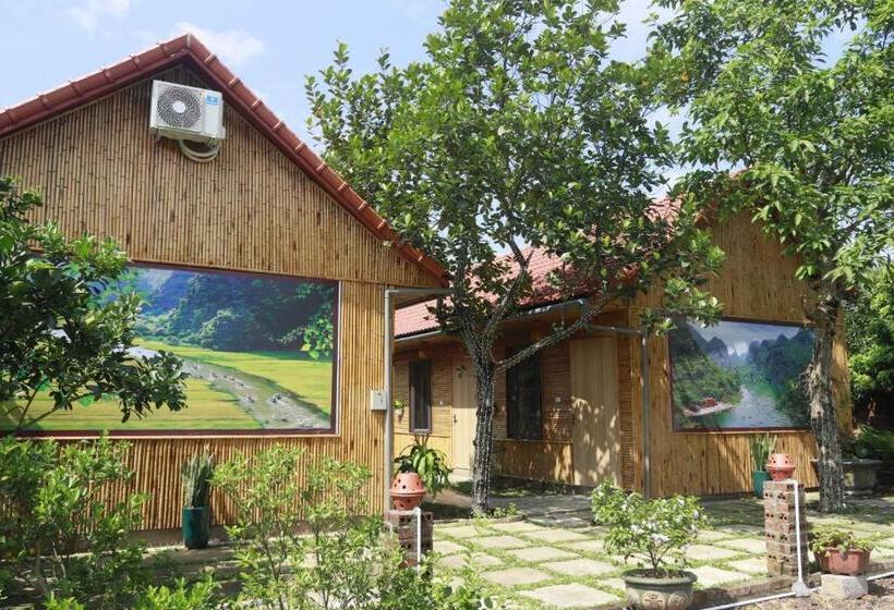 هتل Tam Coc Viet Ha Homestay