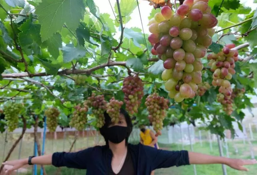 Hotelli The Simple Koh Yao Noi