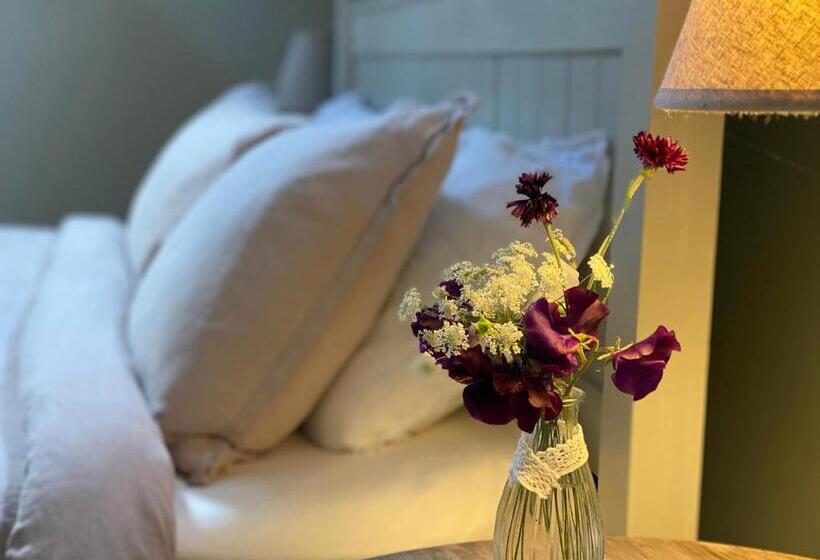 צימר Lut S Place