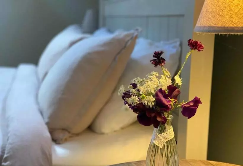 Aamiaismajoitus (B&B) Lut S Place