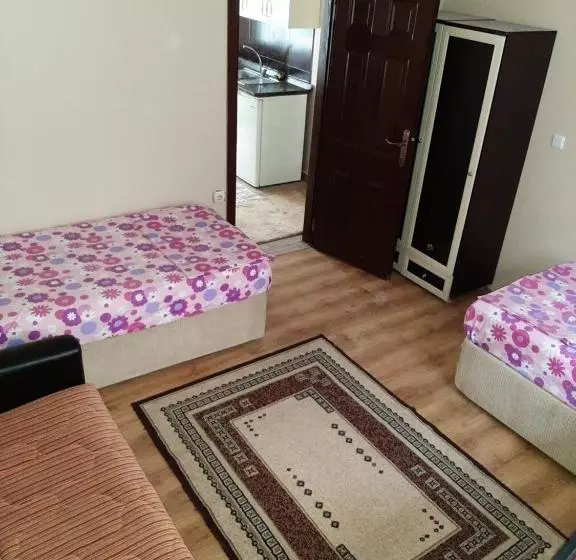 Menekşe Apart 1