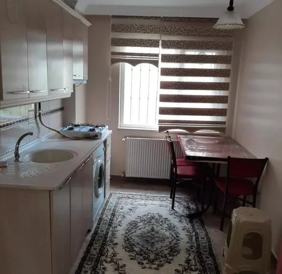 Menekşe Apart 1