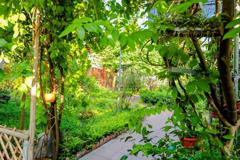 پانسیون Tam Coc River View Homestay
