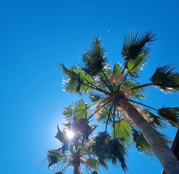 Sunset Boutique Hotel & Apartments