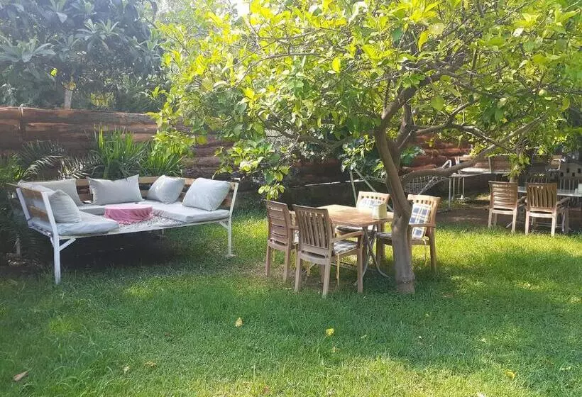 Sunset Boutique Hotel & Apartments