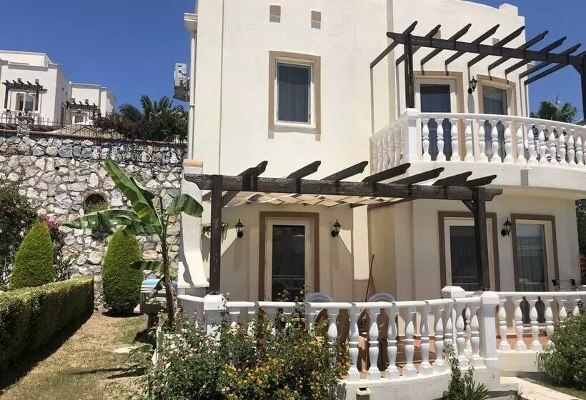 Turqouise Homes