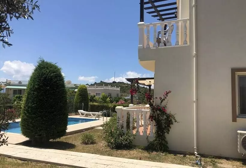 Turqouise Homes