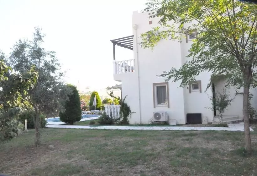 Turqouise Homes