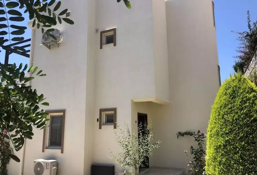 Turqouise Homes