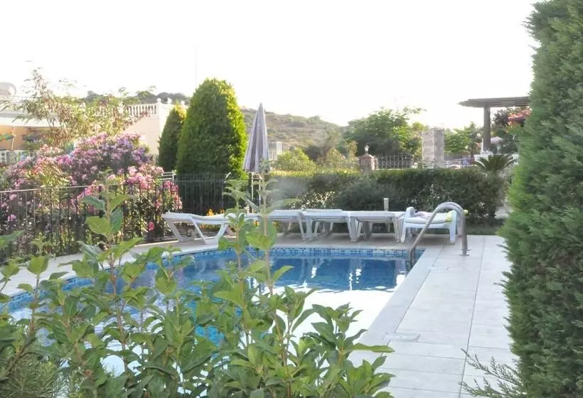Turqouise Homes