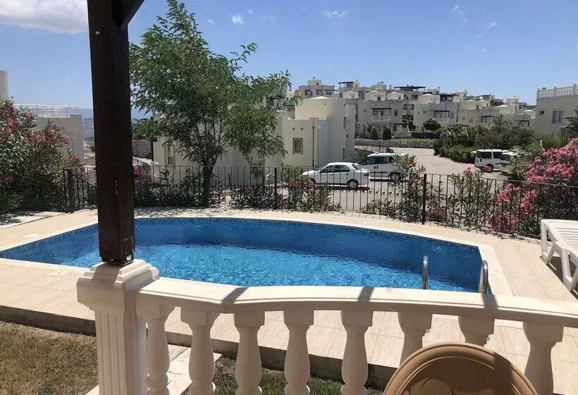 Turqouise Homes
