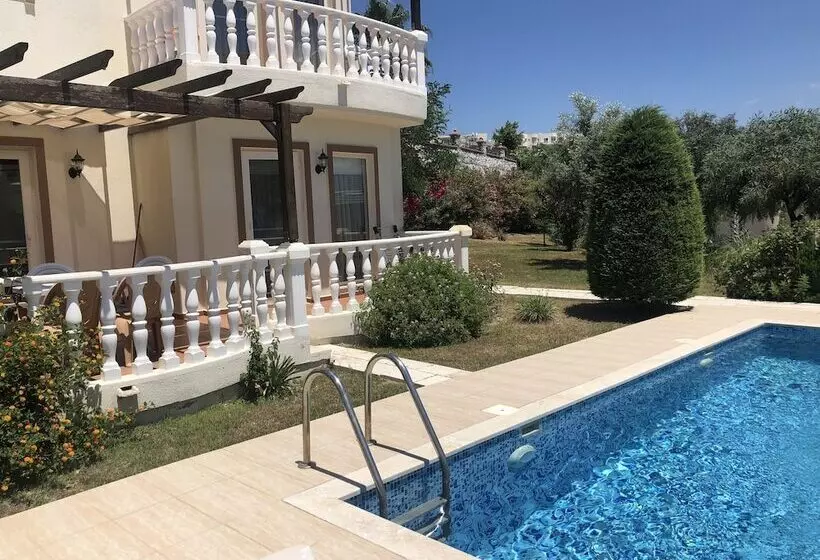 Turqouise Homes