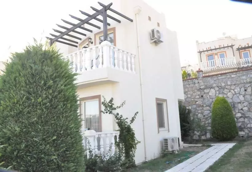 Turqouise Homes