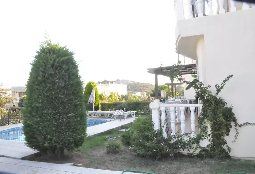 Turqouise Homes