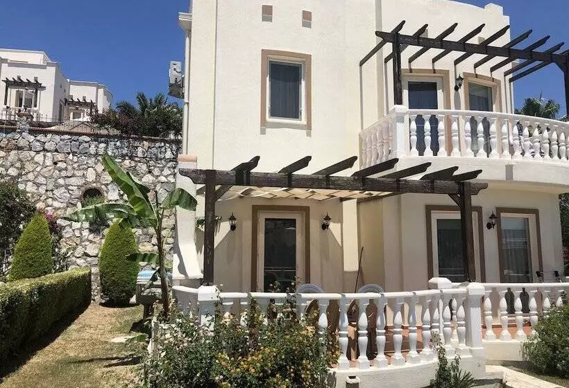 Turqouise Homes
