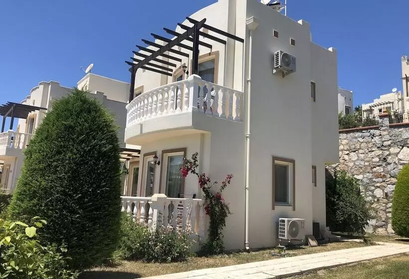 Turqouise Homes