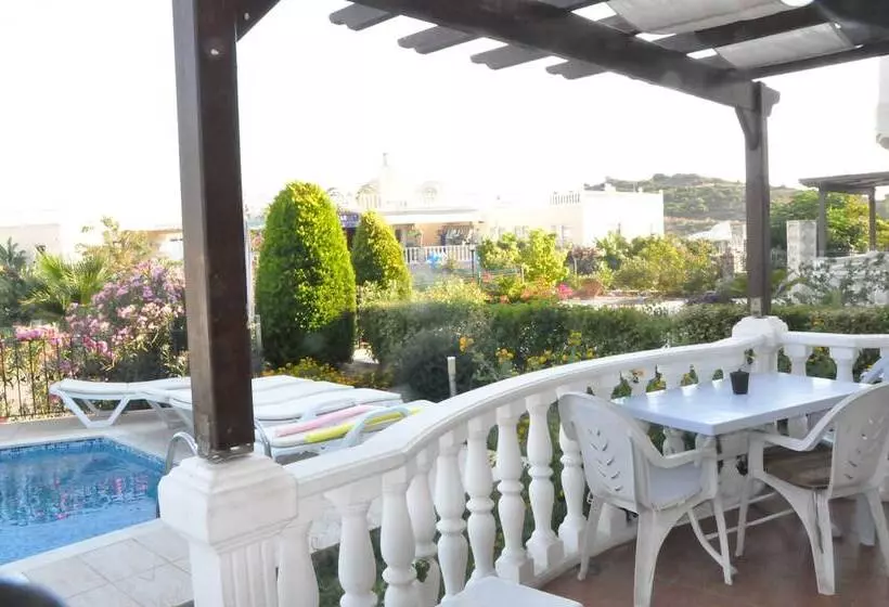 Turqouise Homes