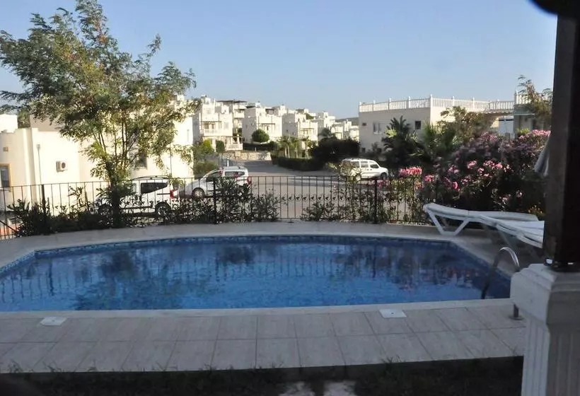 Turqouise Homes