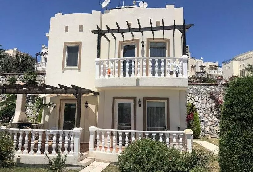 Turqouise Homes
