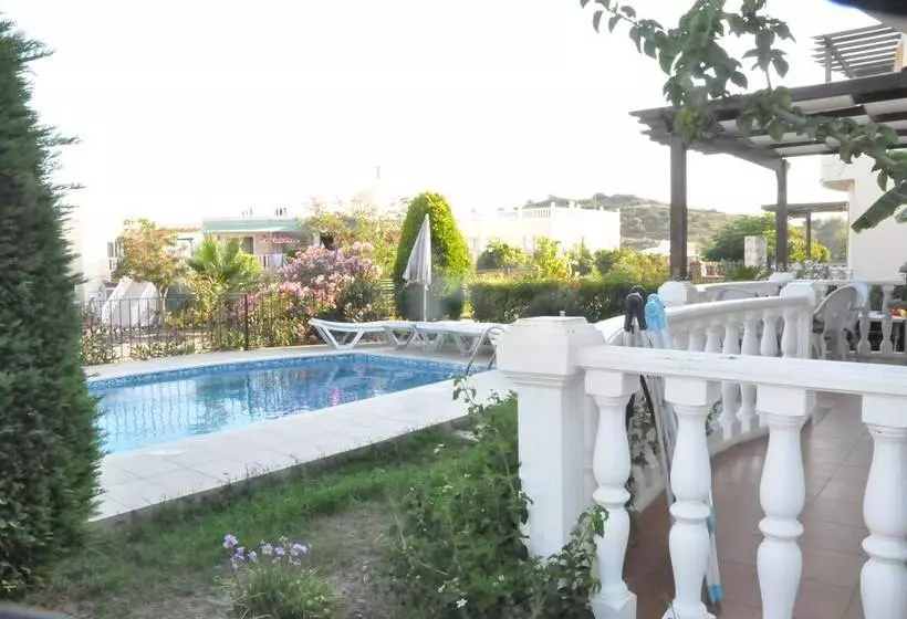Turqouise Homes
