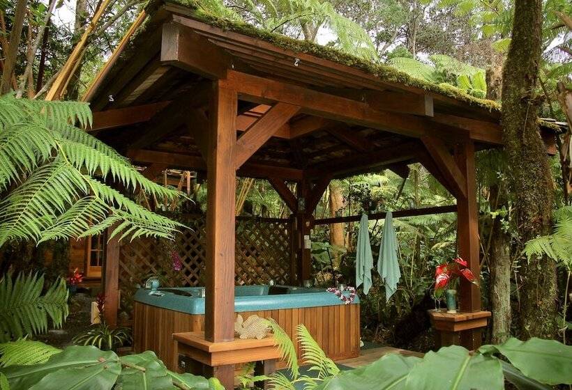 مبيت وإفطار Volcano Rainforest Retreat