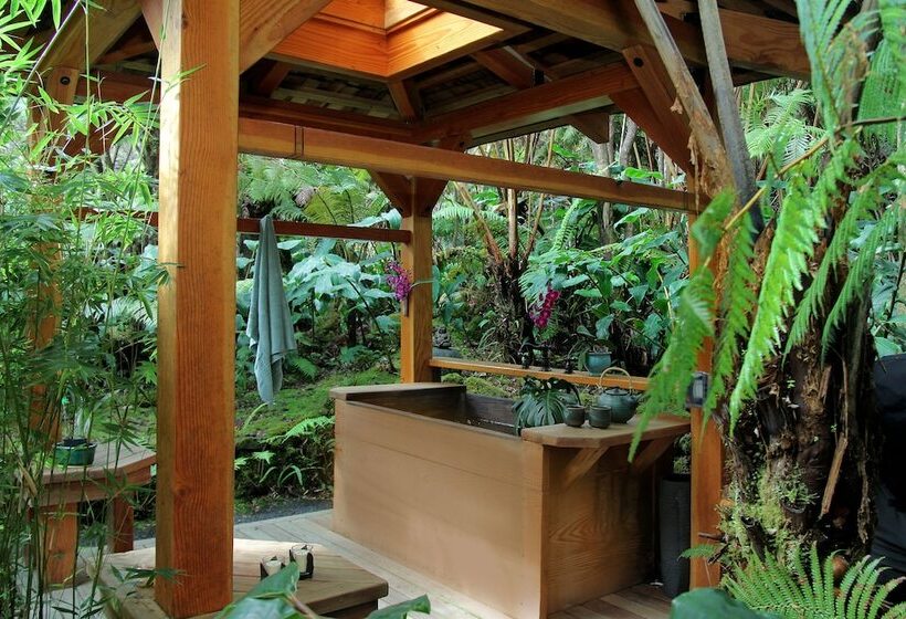مبيت وإفطار Volcano Rainforest Retreat