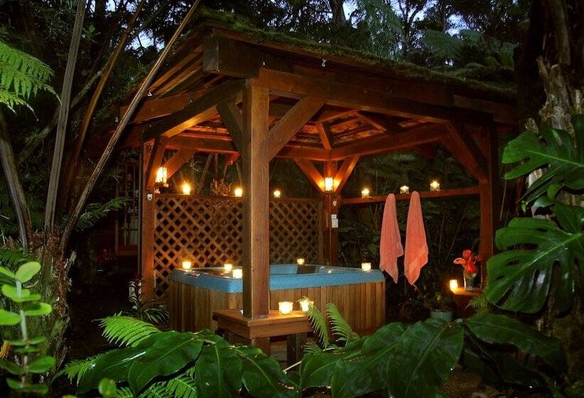 مبيت وإفطار Volcano Rainforest Retreat