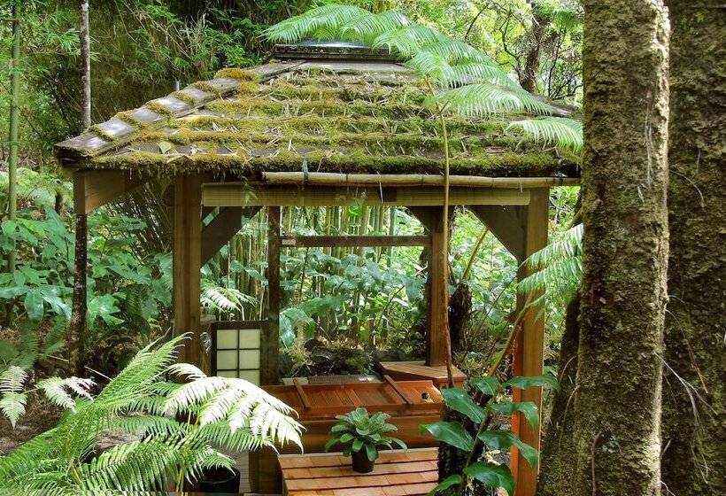 مبيت وإفطار Volcano Rainforest Retreat