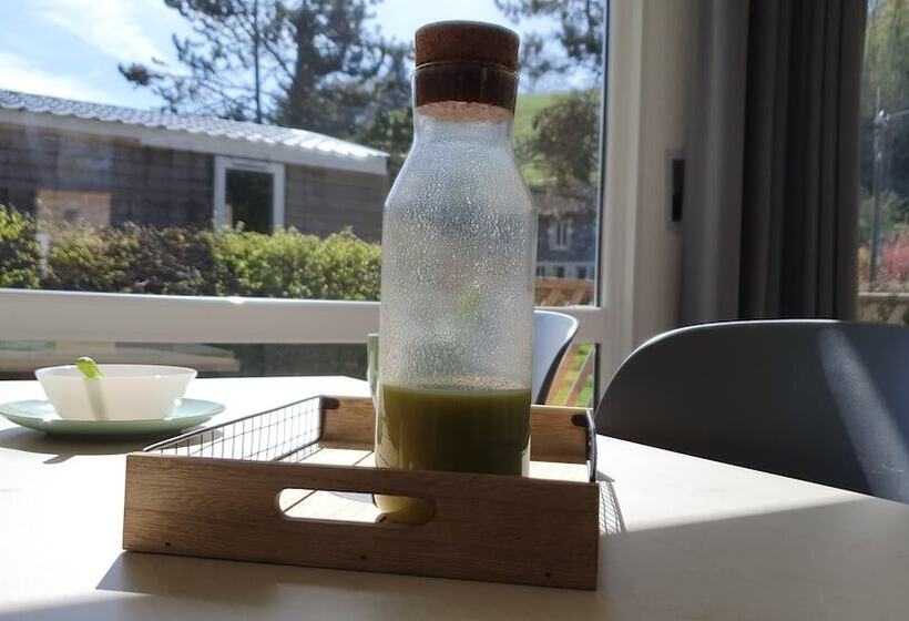 酒店 Camping Les Vernieres La Bourboule Sancy