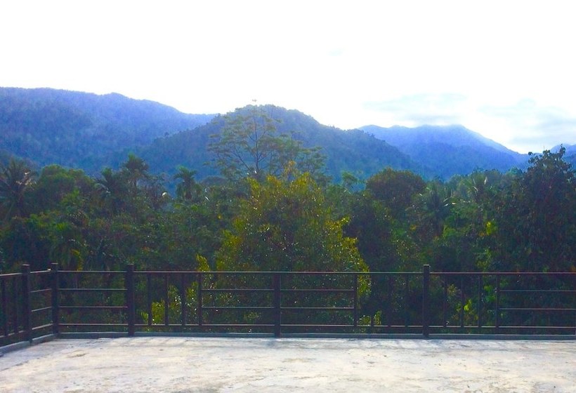 호텔 Lace House Homestay