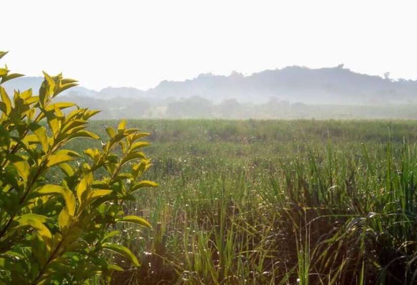 Hotel Les Collines Resort