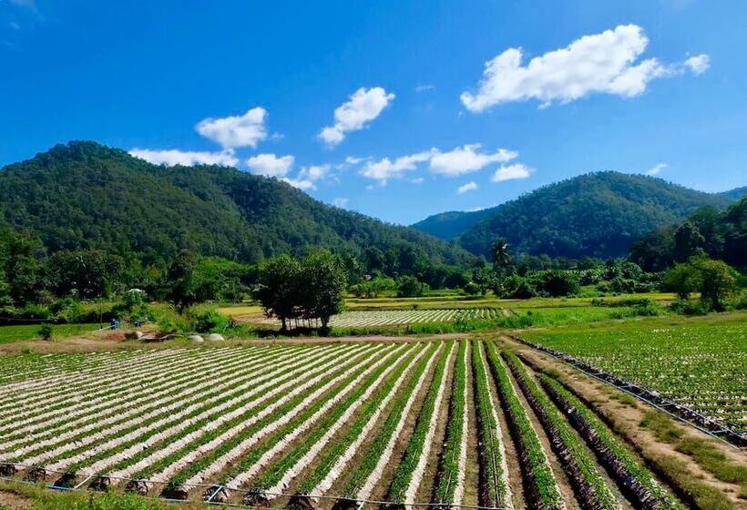 בית מלון כפרי Wongwan Farm