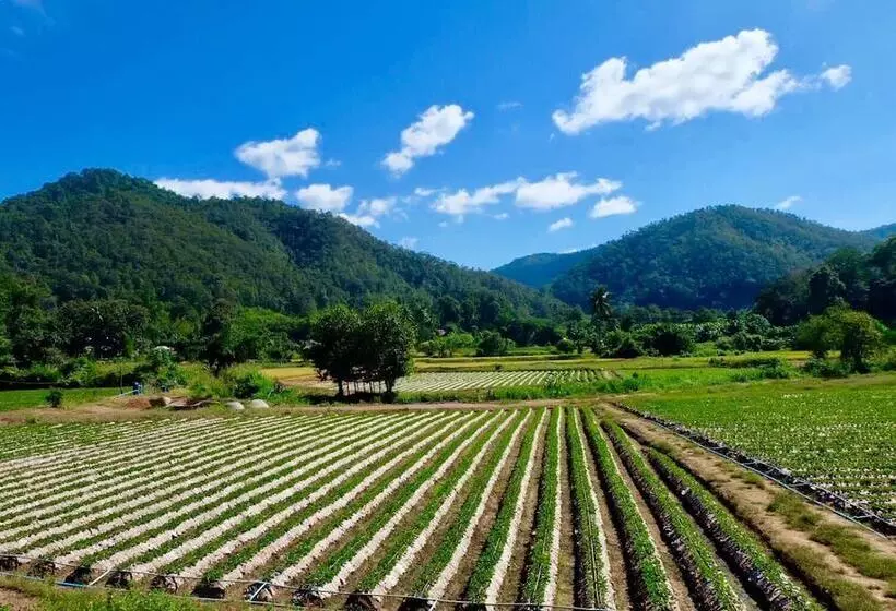 Hotelli Wongwan Farm