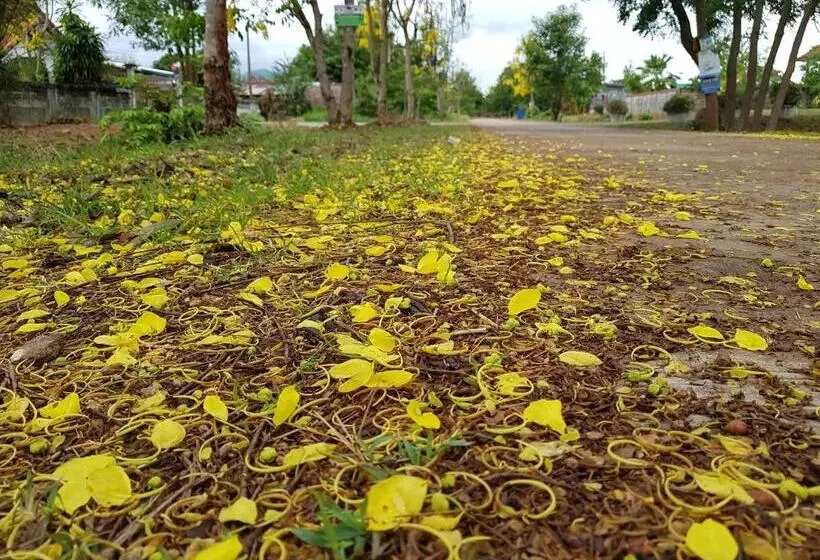 ペンション Baandin Resort