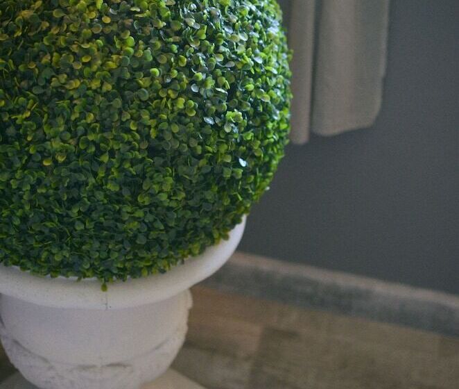 Pensionat Mas Roussillon