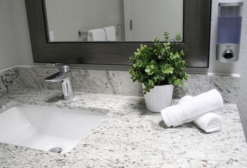 膳宿费 North Seattle Guesthouse