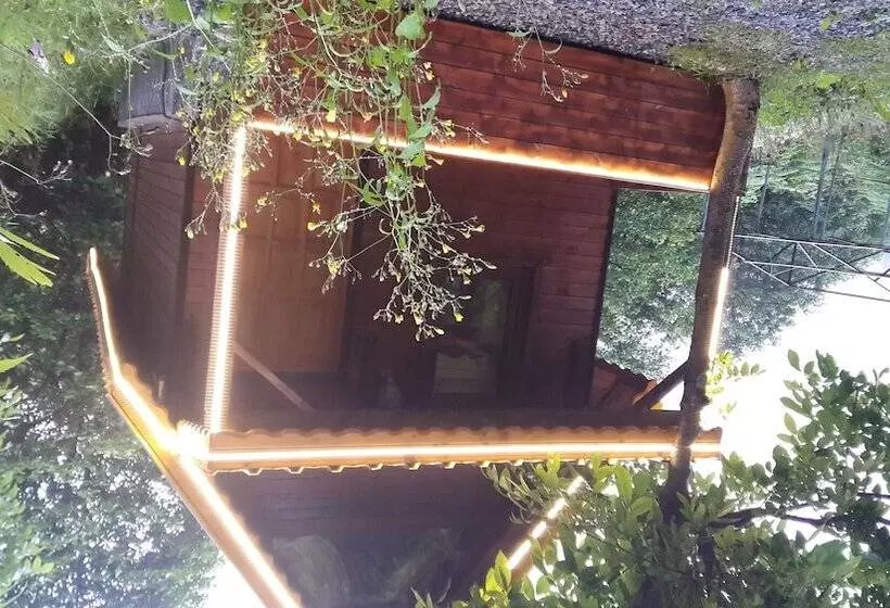 Ayder Selale Dag Evi