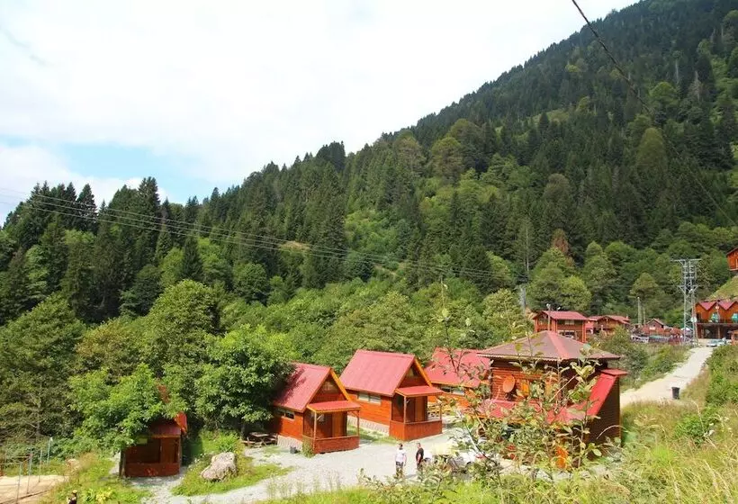 Ayder Selale Dag Evi