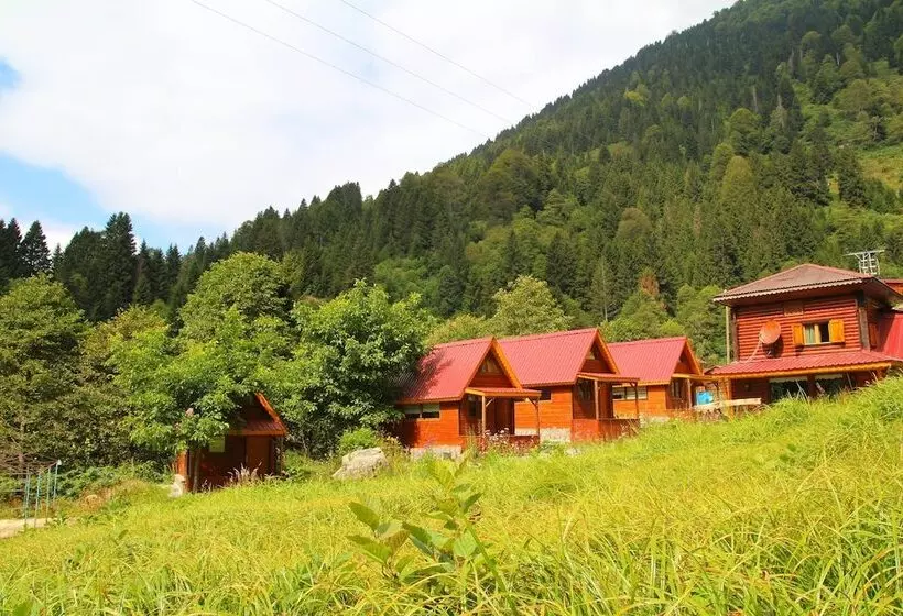 Ayder Selale Dag Evi