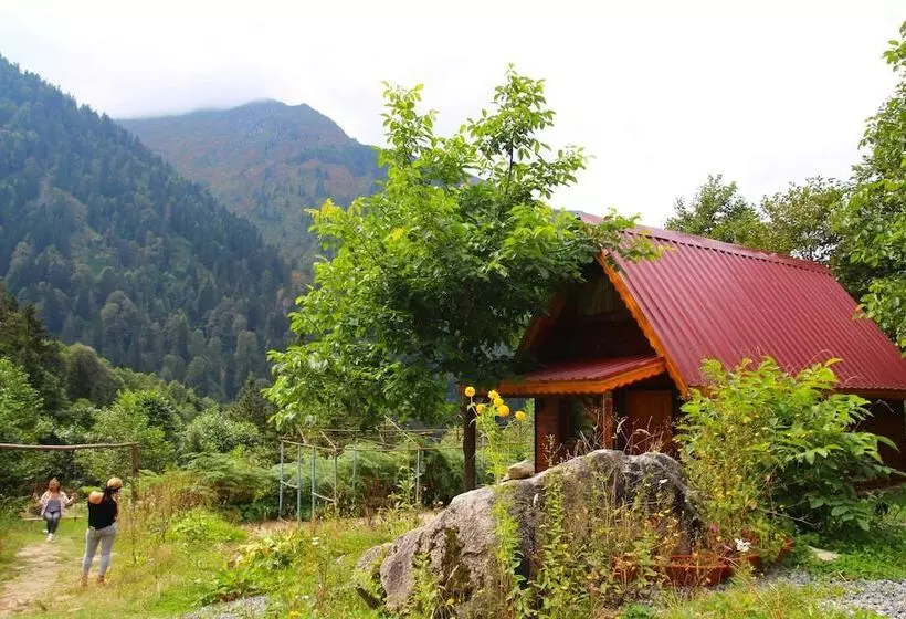 Ayder Selale Dag Evi